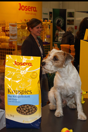 Chilli Josera Miniwell Hundefutter Messestand Parson Russell Terrier