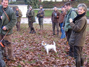 Rednock Jagd Beizvogelappell Chilli Terrier Parson