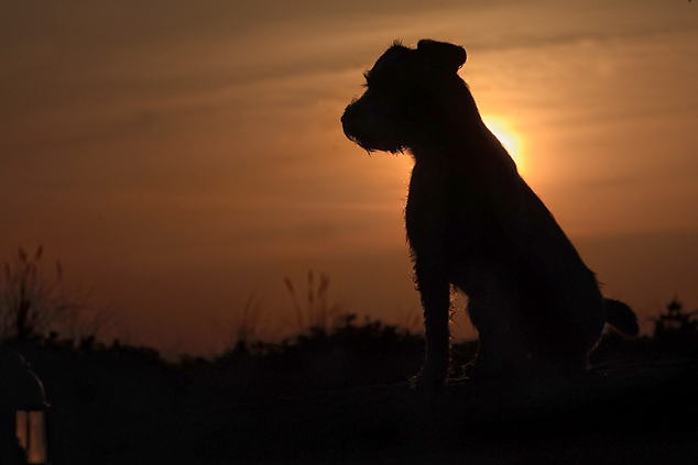 Hohwachter Bucht Ostsee Chilli Sonnenaufgang