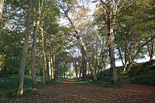 LeVaulerault Allee Park Bretagne Cancale