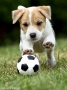 ball_2