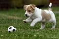 ball_3